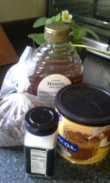 2 Tbsp cocoa; 1 Tbsp unsweetened carob drops; 1 tsp vanilla; a pinch of sea salt; optional honey